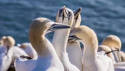 kaiyun登录入口-国内足球联赛热度持续升温，球队战术全面升级，足球联赛强度